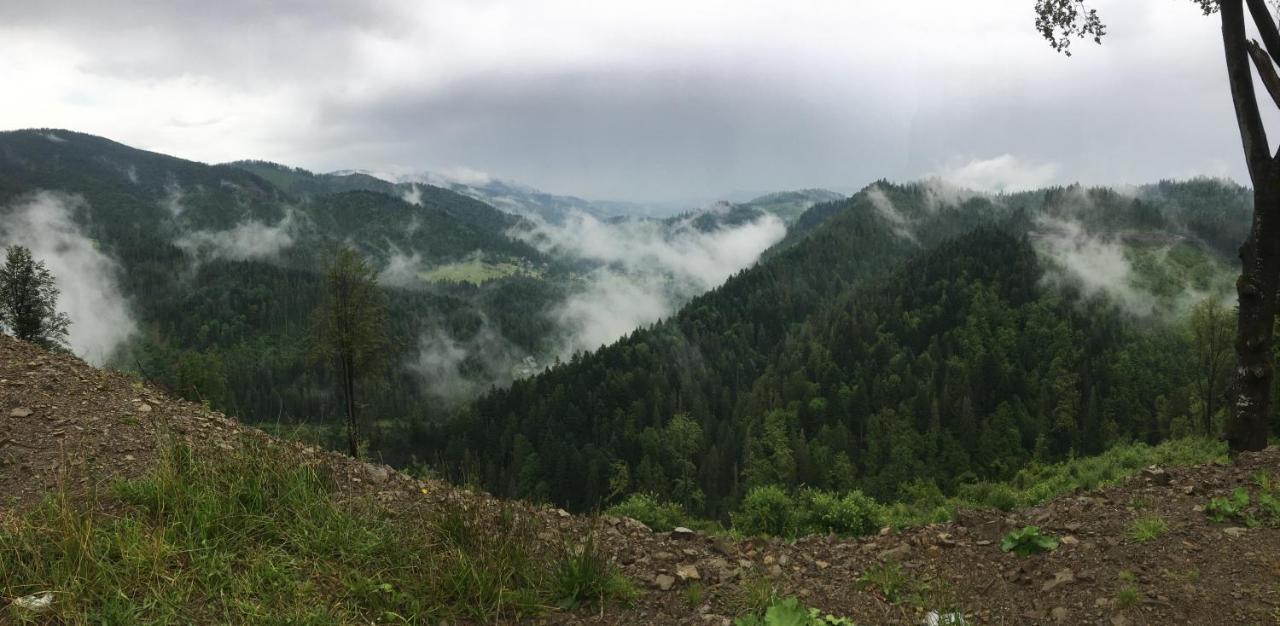 Ніч Над Карпатами Otel Slavske Dış mekan fotoğraf